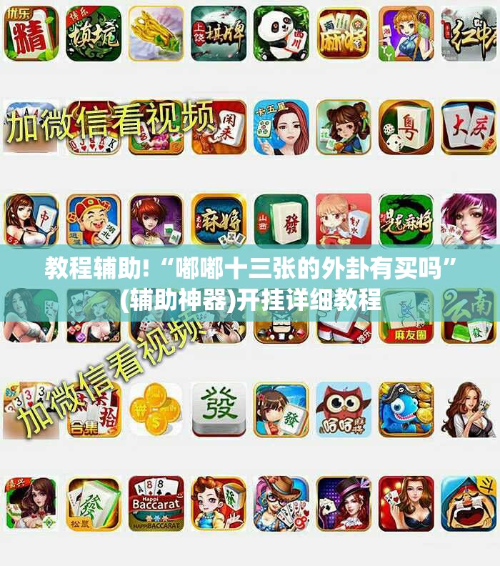 教程辅助!“嘟嘟十三张的外卦有买吗”(辅助神器)开挂详细教程