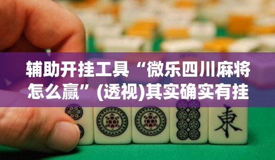 辅助开挂工具“微乐四川麻将怎么赢”(透视)其实确实有挂