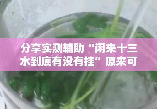 分享实测辅助“闲来十三水到底有没有挂”原来可以开挂