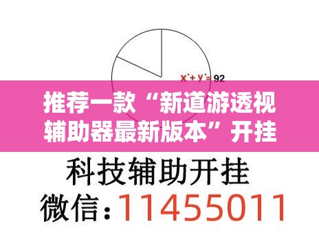 推荐一款“新道游透视辅助器最新版本”开挂辅助脚本+详细开挂安装教程
