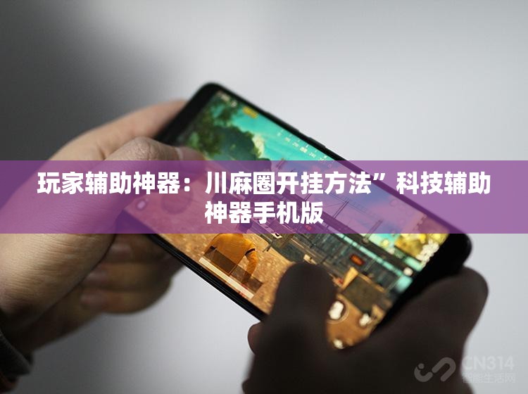 玩家辅助神器：川麻圈开挂方法	”科技辅助神器手机版