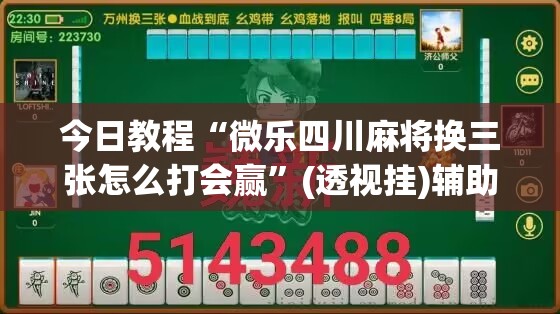 今日教程“微乐四川麻将换三张怎么打会赢”(透视挂)辅助下载教程