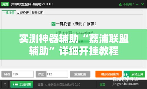 实测神器辅助“荔浦联盟辅助”详细开挂教程