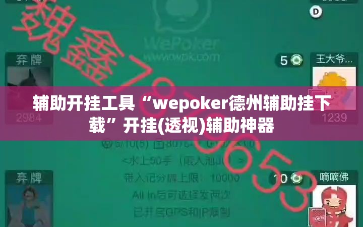 辅助开挂工具“wepoker德州辅助挂下载”开挂(透视)辅助神器