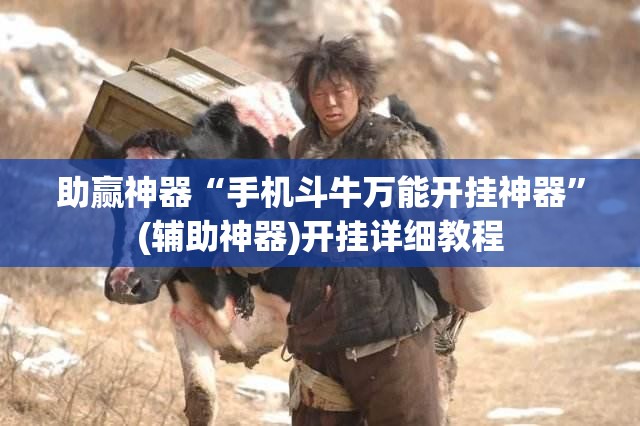 助赢神器“手机斗牛万能开挂神器”(辅助神器)开挂详细教程