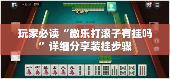 玩家必读“微乐打滚子有挂吗”详细分享装挂步骤
