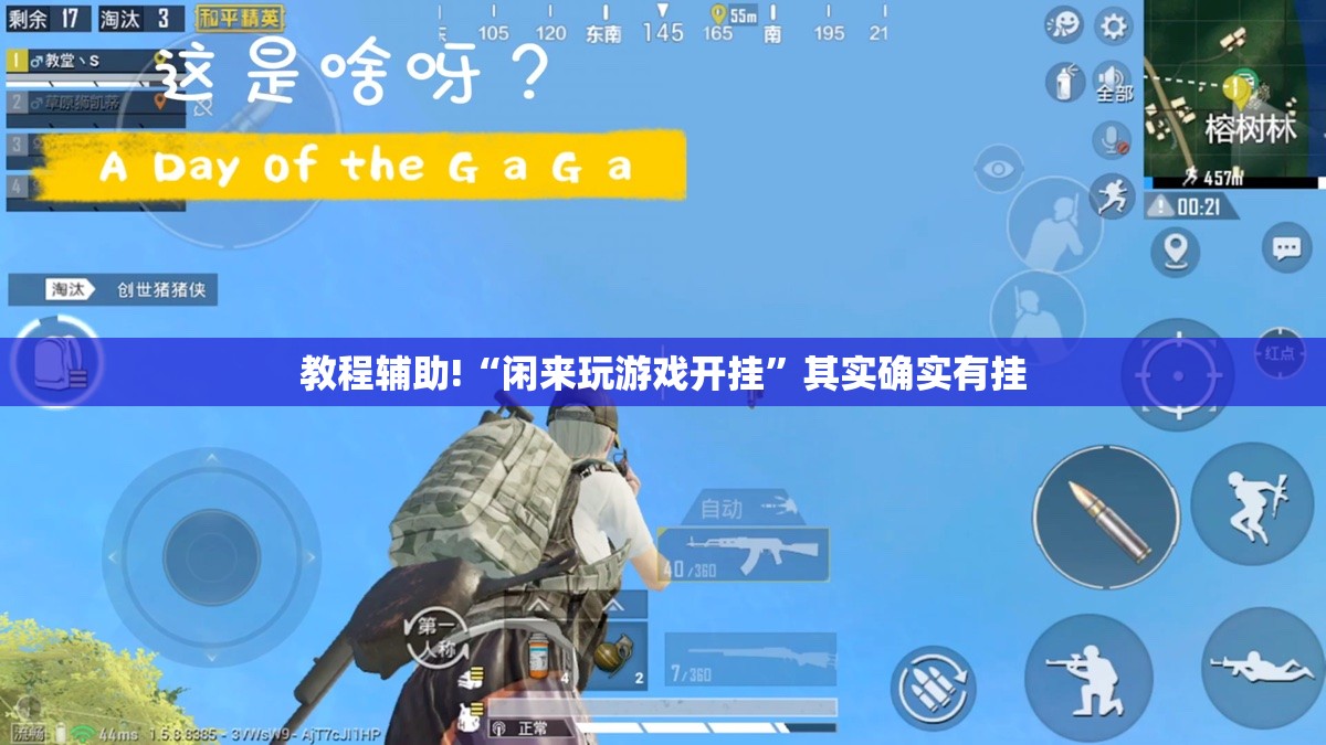教程辅助!“闲来玩游戏开挂”其实确实有挂