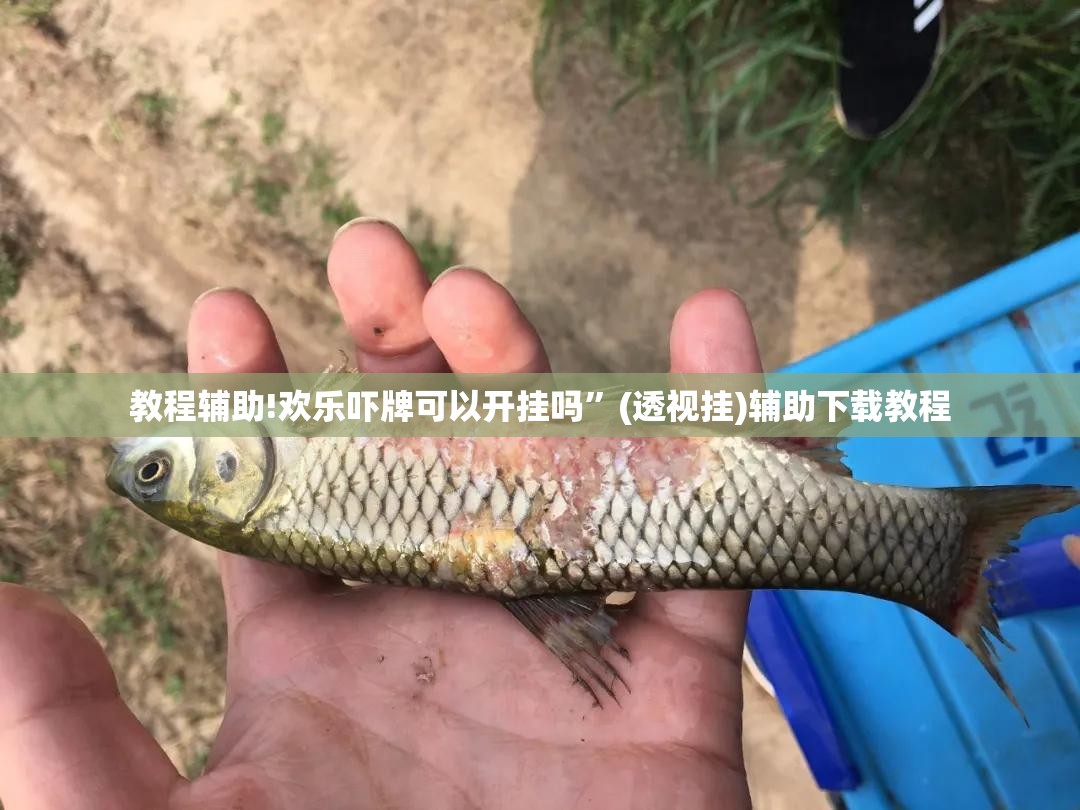 教程辅助!欢乐吓牌可以开挂吗	”(透视挂)辅助下载教程