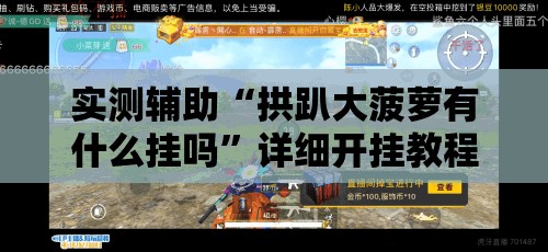 实测辅助“拱趴大菠萝有什么挂吗”详细开挂教程