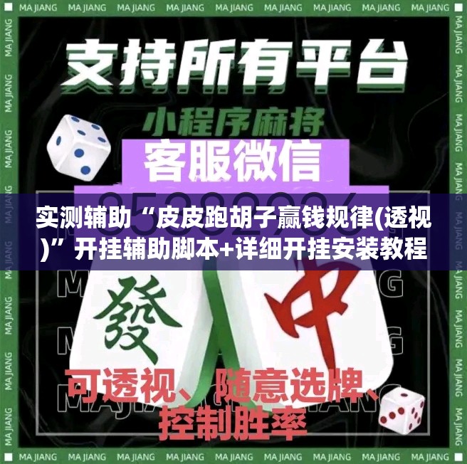 实测辅助“皮皮跑胡子赢钱规律(透视)”开挂辅助脚本+详细开挂安装教程