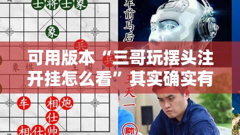 可用版本“三哥玩摆头注开挂怎么看	”其实确实有挂