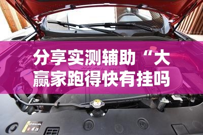 分享实测辅助“大赢家跑得快有挂吗”开挂详细教程