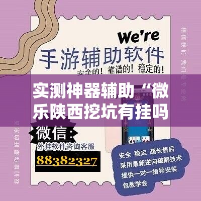 实测神器辅助“微乐陕西挖坑有挂吗”详细分享装挂步骤