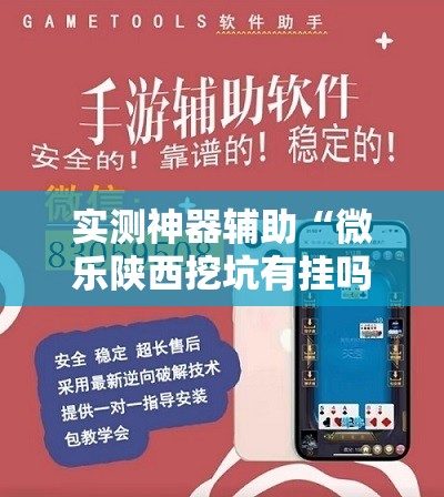 实测神器辅助“微乐陕西挖坑有挂吗”详细分享装挂步骤