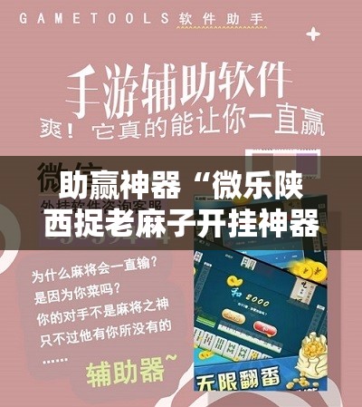 助赢神器“微乐陕西捉老麻子开挂神器”开挂详细教程