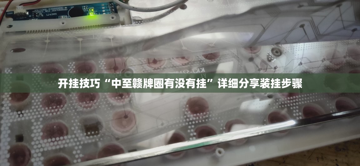 开挂技巧“中至赣牌圈有没有挂	”详细分享装挂步骤