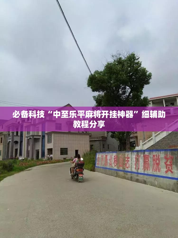 必备科技“中至乐平麻将开挂神器”细辅助教程分享