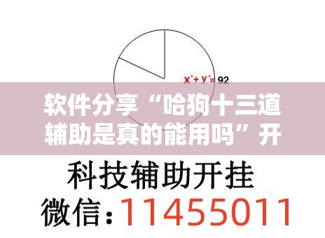软件分享“哈狗十三道辅助是真的能用吗”开挂辅助脚本+详细开挂安装教程