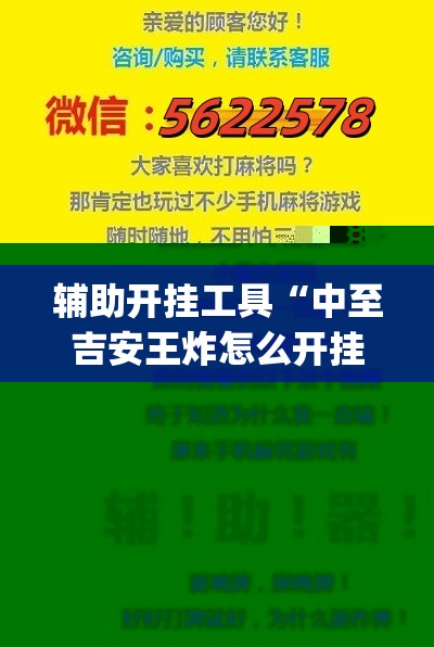 辅助开挂工具“中至吉安王炸怎么开挂”开挂(透视)辅助神器