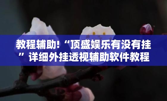 教程辅助!“顶盛娱乐有没有挂	”详细外挂透视辅助软件教程