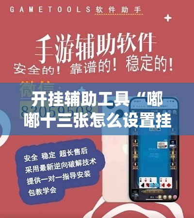 开挂辅助工具“嘟嘟十三张怎么设置挂”开挂(透视)辅助神器