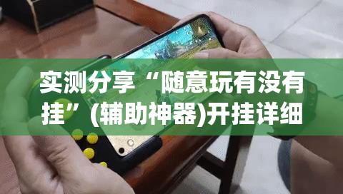实测分享“随意玩有没有挂”(辅助神器)开挂详细教程