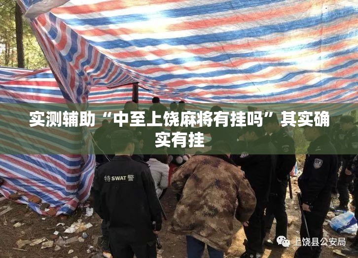 实测辅助“中至上饶麻将有挂吗”其实确实有挂