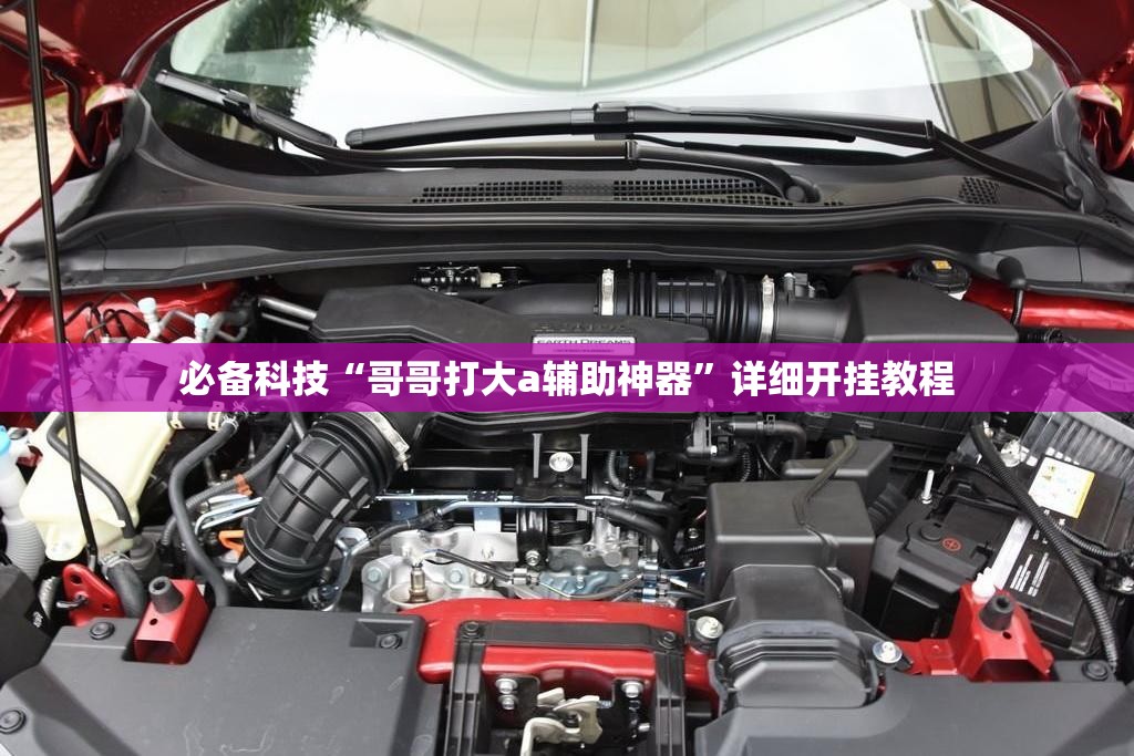 必备科技“哥哥打大a辅助神器”详细开挂教程