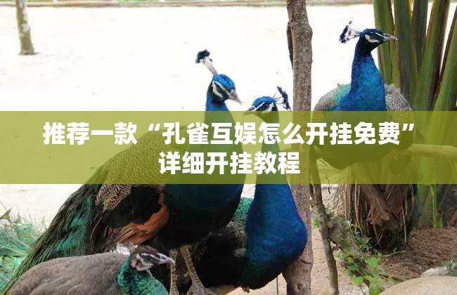 推荐一款“孔雀互娱怎么开挂免费”详细开挂教程