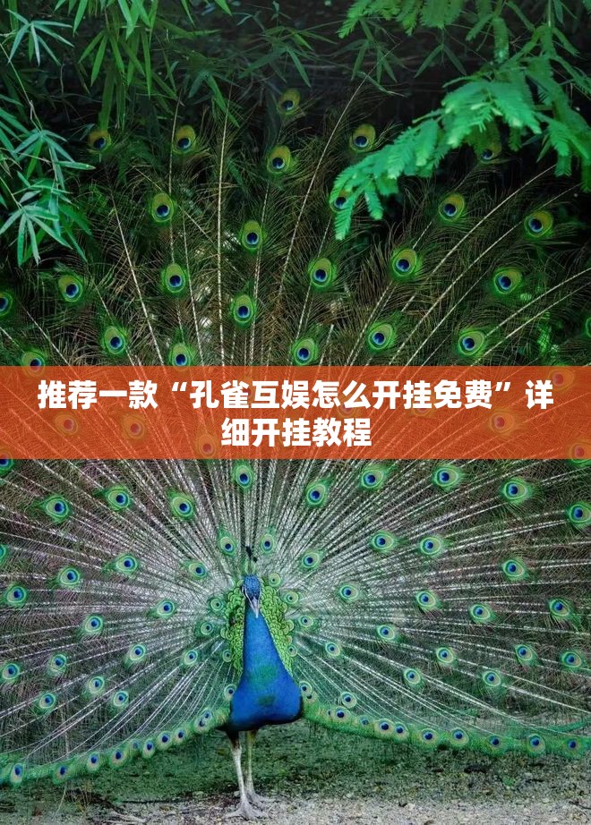 推荐一款“孔雀互娱怎么开挂免费”详细开挂教程