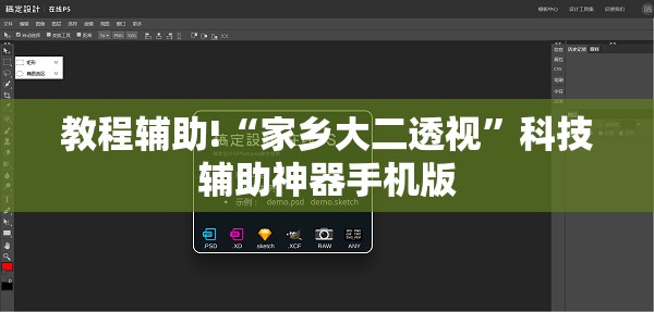 教程辅助!“家乡大二透视	”科技辅助神器手机版