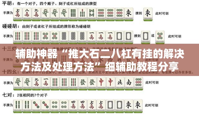 辅助神器“推大石二八杠有挂的解决方法及处理方法”细辅助教程分享
