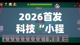 2026首发科技“小程序微乐麻将为什么总是输”开挂辅助脚本+详细开挂安装教程
