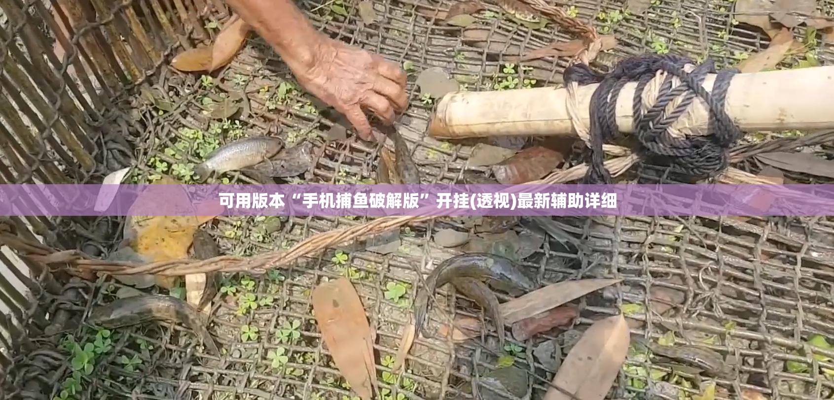 可用版本“手机捕鱼破解版”开挂(透视)最新辅助详细