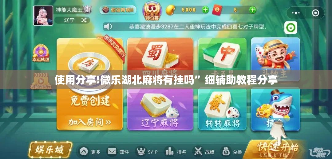 使用分享!微乐湖北麻将有挂吗”细辅助教程分享