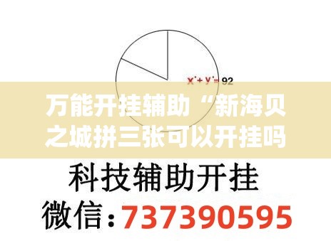 万能开挂辅助“新海贝之城拼三张可以开挂吗(透视)”开挂辅助脚本+详细开挂安装教程