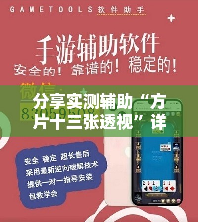 分享实测辅助“方片十三张透视”详细外挂透视辅助软件教程