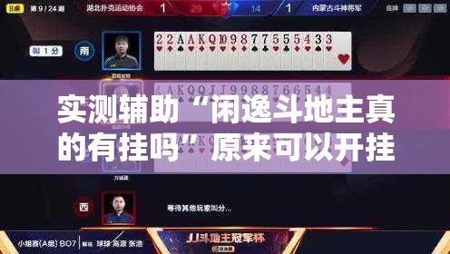 实测辅助“闲逸斗地主真的有挂吗”原来可以开挂