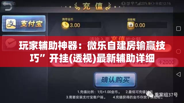 玩家辅助神器：微乐自建房输赢技巧”开挂(透视)最新辅助详细