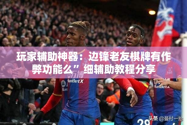 玩家辅助神器：边锋老友棋牌有作弊功能么	”细辅助教程分享