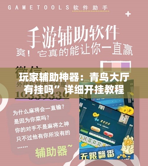 玩家辅助神器：青鸟大厅有挂吗”详细开挂教程