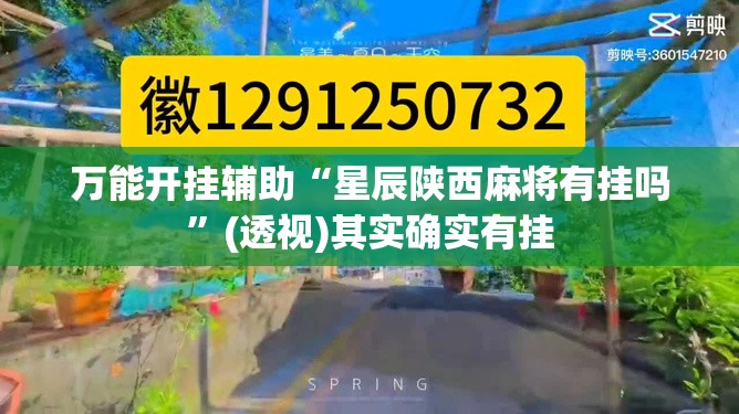 万能开挂辅助“星辰陕西麻将有挂吗”(透视)其实确实有挂