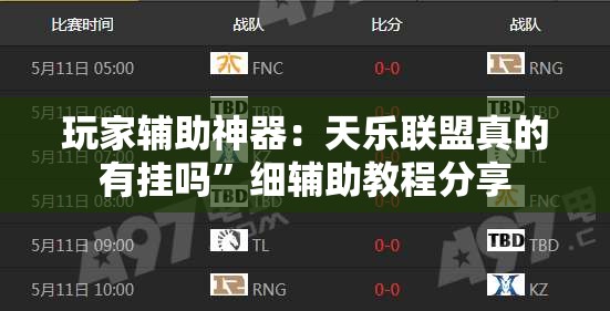 玩家辅助神器：天乐联盟真的有挂吗	”细辅助教程分享