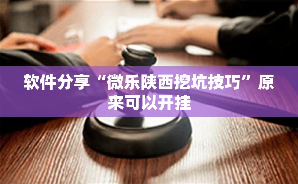软件分享“微乐陕西挖坑技巧”原来可以开挂