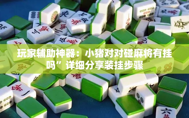玩家辅助神器：小猪对对碰麻将有挂吗”详细分享装挂步骤