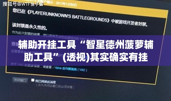 辅助开挂工具“智星德州菠萝辅助工具”(透视)其实确实有挂