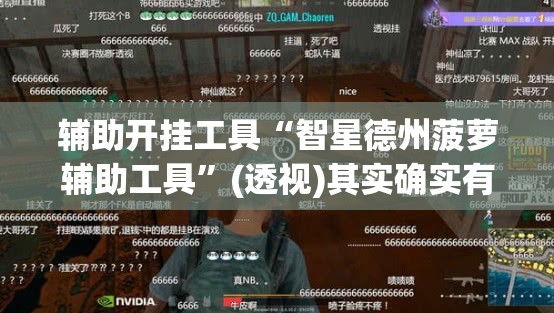 辅助开挂工具“智星德州菠萝辅助工具”(透视)其实确实有挂