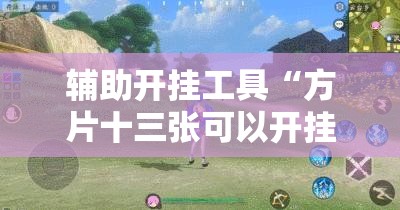 辅助开挂工具“方片十三张可以开挂吗”其实确实有挂