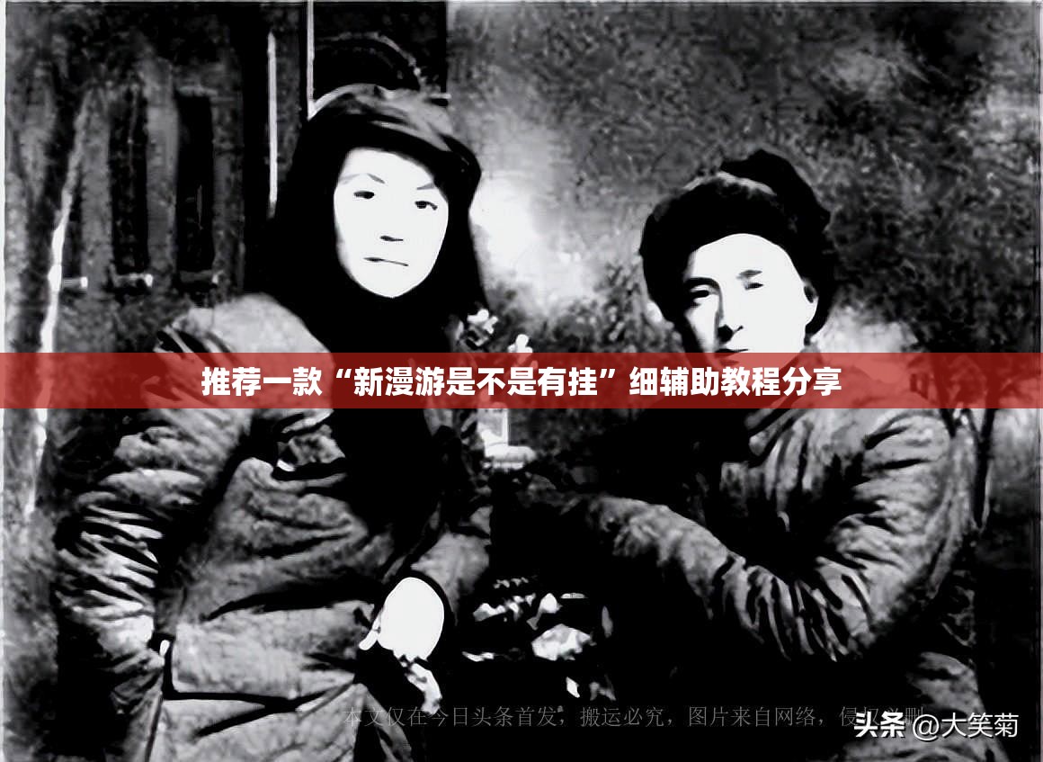 推荐一款“新漫游是不是有挂”细辅助教程分享