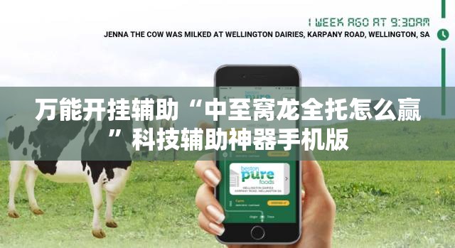 万能开挂辅助“中至窝龙全托怎么赢”科技辅助神器手机版